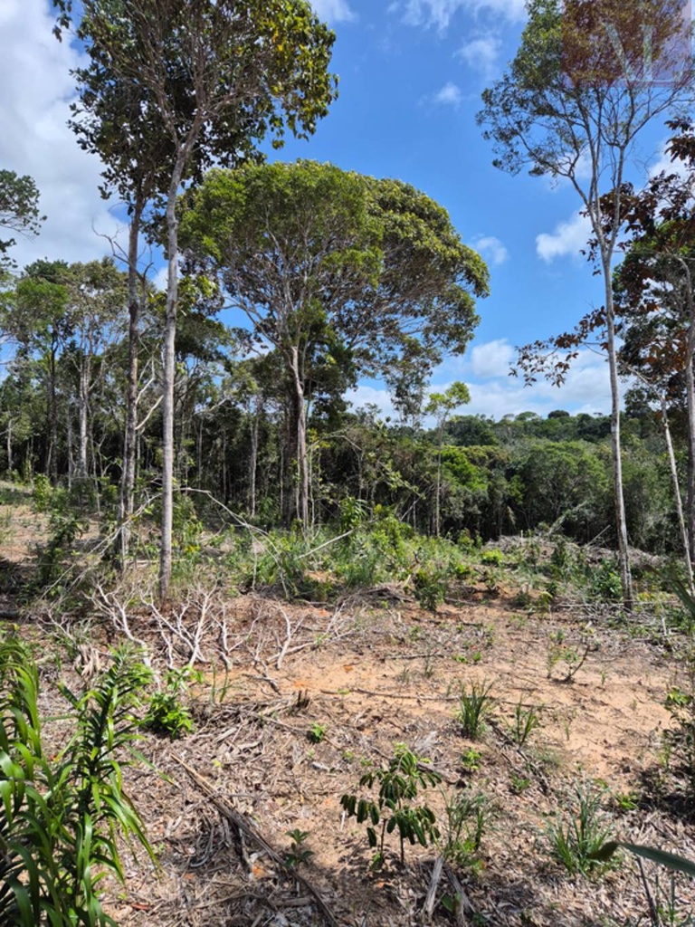 residential-/-land-lot-barra-do-pojuca-(monte-gordo)-camacari-ba