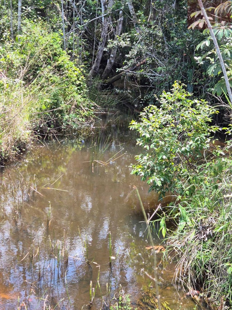 residential-/-land-lot-barra-do-pojuca-(monte-gordo)-camacari-ba