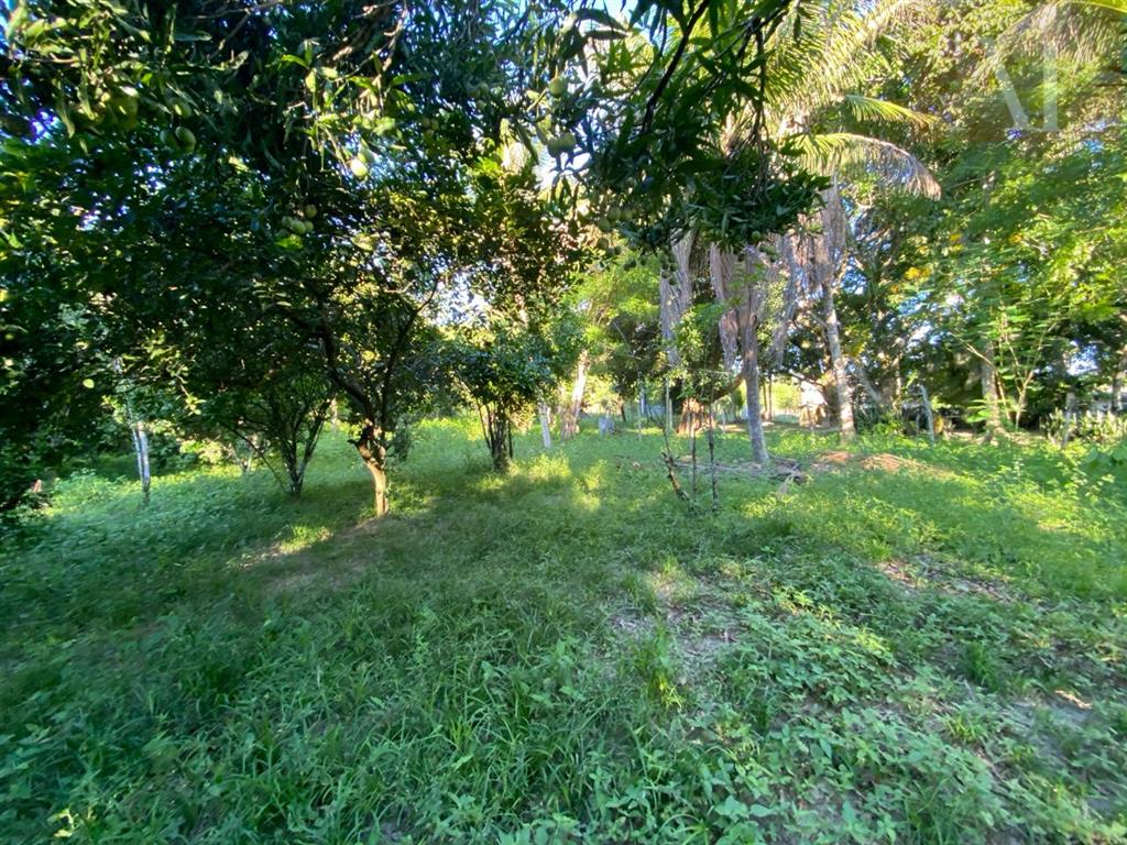 residential-/-home-3-quartos-420m2-zona-rural-mata-de-sao-joao-ba