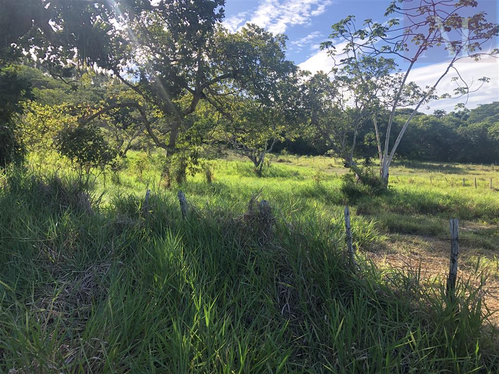 residential-/-home-3-quartos-420m2-zona-rural-mata-de-sao-joao-ba