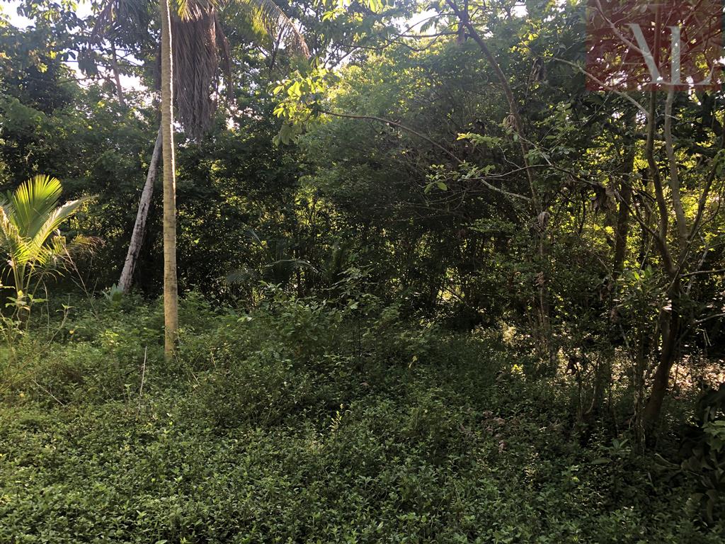residential-/-home-3-quartos-420m2-zona-rural-mata-de-sao-joao-ba