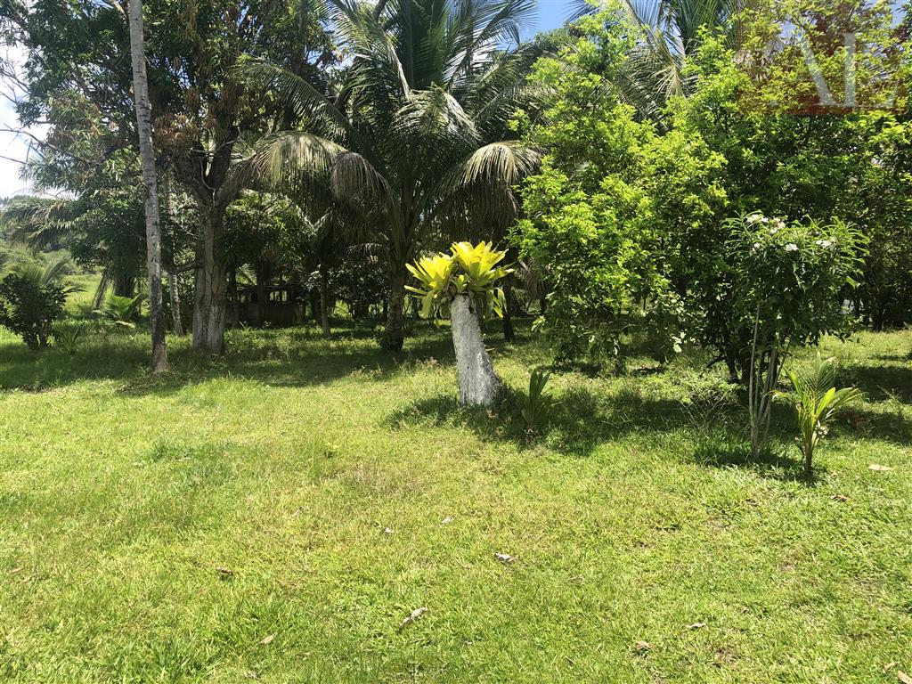residential-/-home-3-quartos-amado-bahia-mata-de-sao-joao-ba