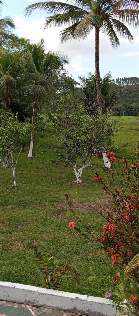 residential-/-home-3-quartos-amado-bahia-mata-de-sao-joao-ba