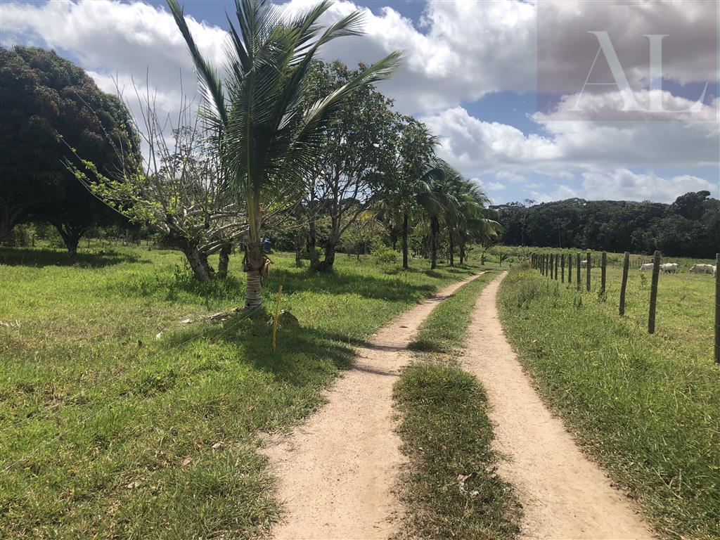 residential-/-home-7-quartos-490m2-faz-lunda-mata-de-sao-joao-ba