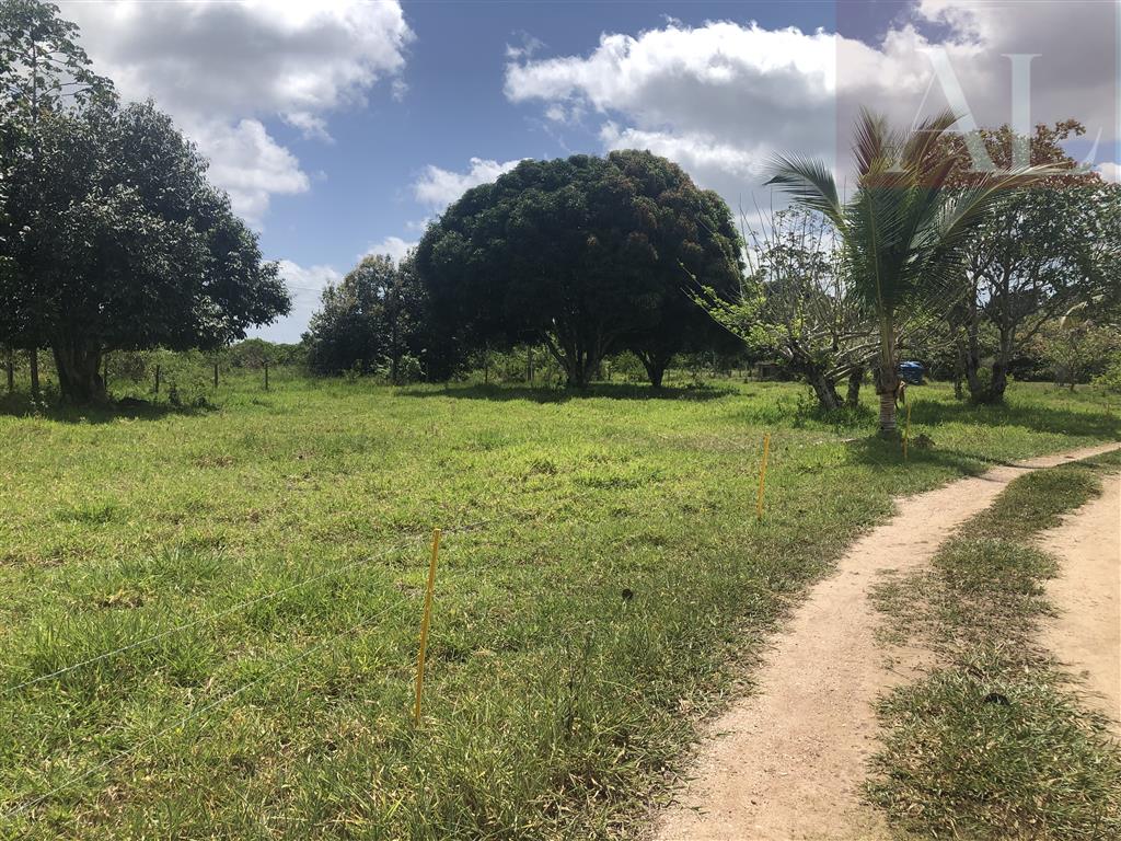 residential-/-home-7-quartos-490m2-faz-lunda-mata-de-sao-joao-ba