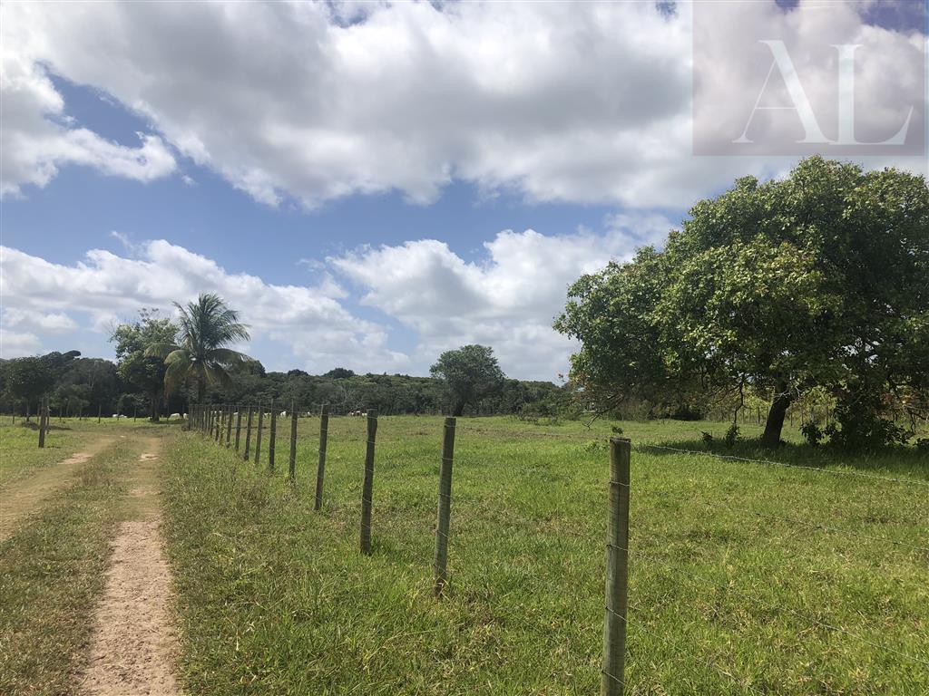residential-/-home-7-quartos-490m2-faz-lunda-mata-de-sao-joao-ba
