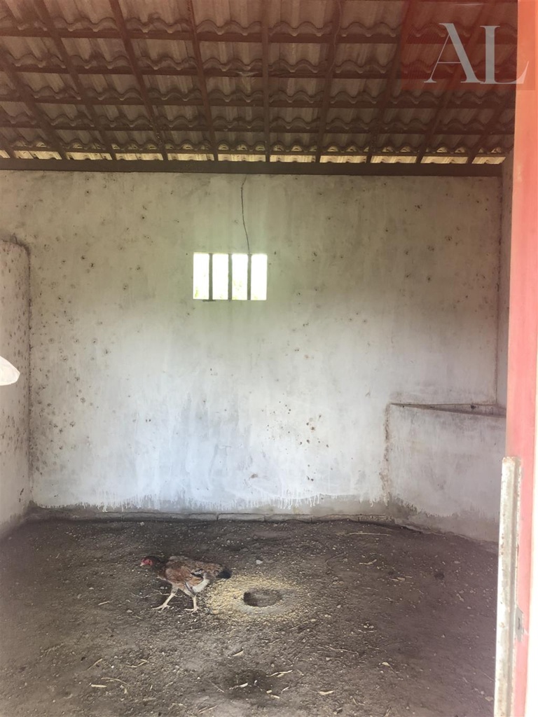 residential-/-home-7-quartos-490m2-faz-lunda-mata-de-sao-joao-ba