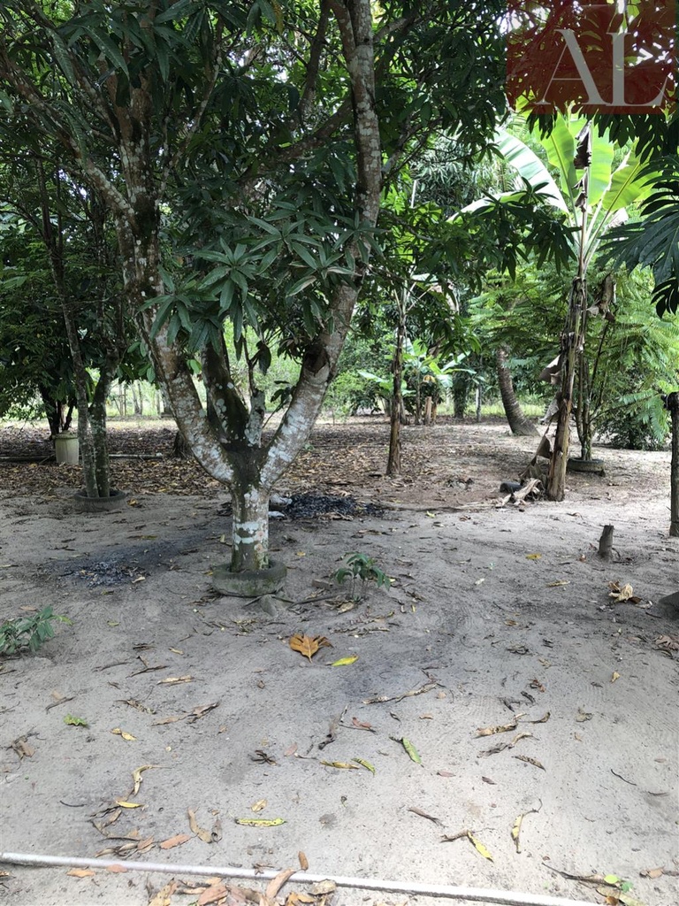 residential-/-home-4-quartos-500m2-bom-jesus-mata-de-sao-joao-ba