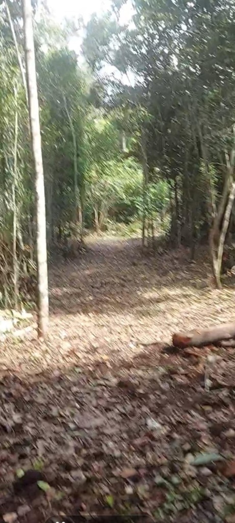residential-/-land-lot-barra-do-pojuca-(monte-gordo)-camacari-ba
