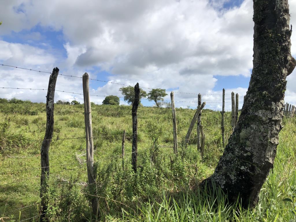residential-/-land-lot-pitanguinha-mata-de-sao-joao-ba