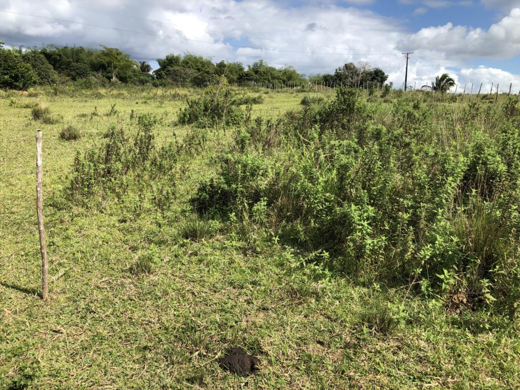 residential-/-land-lot-pitanguinha-mata-de-sao-joao-ba