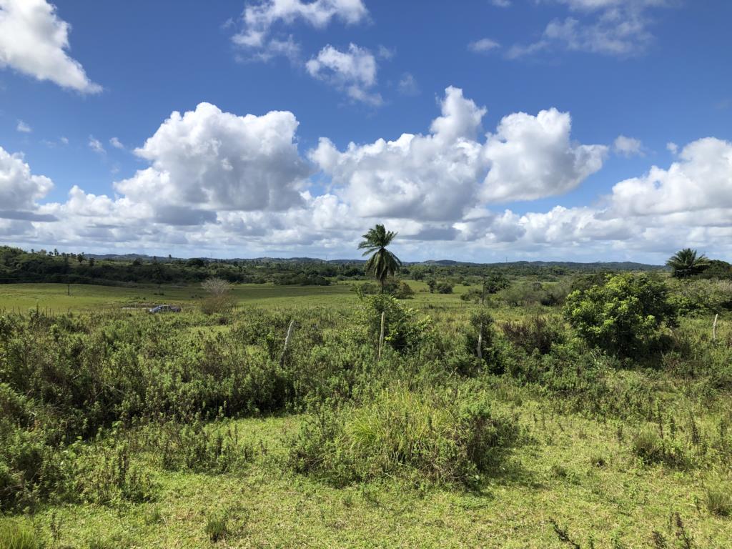 residential-/-land-lot-pitanguinha-mata-de-sao-joao-ba