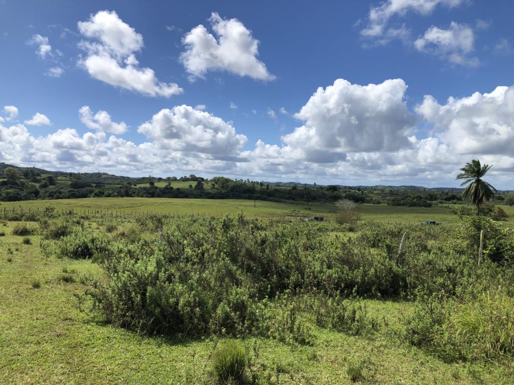 residential-/-land-lot-pitanguinha-mata-de-sao-joao-ba