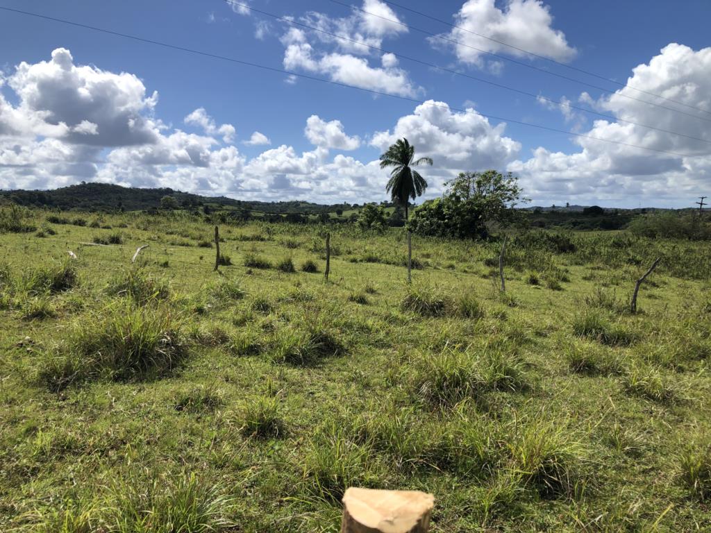 residential-/-land-lot-pitanguinha-mata-de-sao-joao-ba