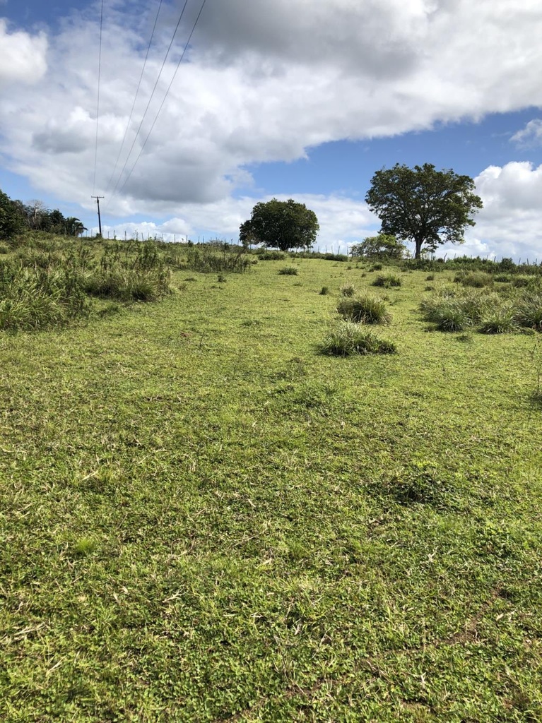 residential-/-land-lot-pitanguinha-mata-de-sao-joao-ba