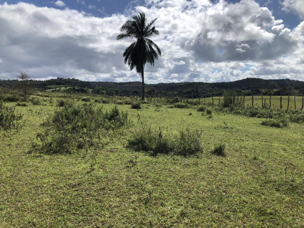 residential-/-land-lot-pitanguinha-mata-de-sao-joao-ba