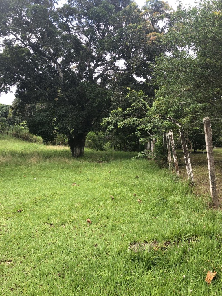 residential-/-home-2-quartos-bom-jesus-mata-de-sao-joao-ba