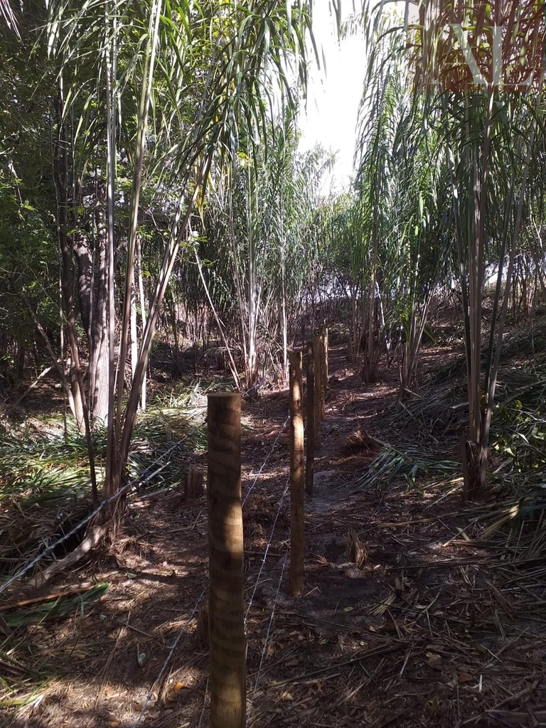 residential-/-land-lot-praia-do-forte-mata-de-sao-joao-ba