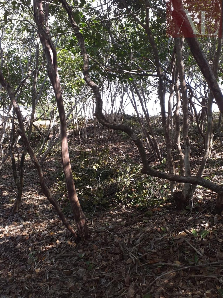 residential-/-land-lot-praia-do-forte-mata-de-sao-joao-ba