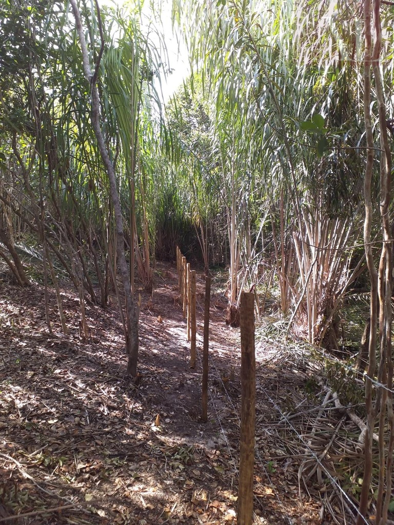 residential-/-land-lot-praia-do-forte-mata-de-sao-joao-ba