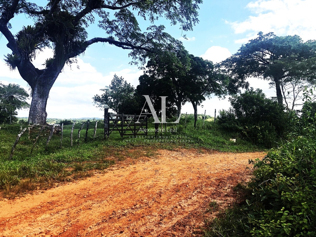 commercial-/-agricultural-196020m2-vila-de-camacari-mata-de-sao-joao-ba