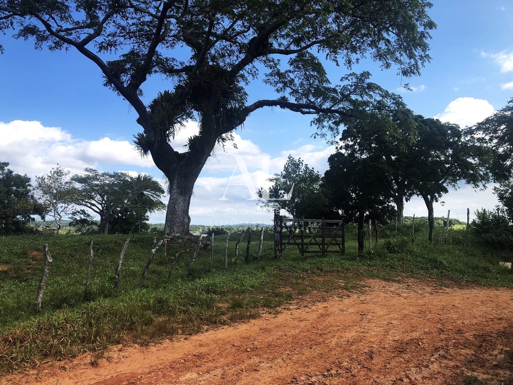 commercial-/-agricultural-196020m2-vila-de-camacari-mata-de-sao-joao-ba