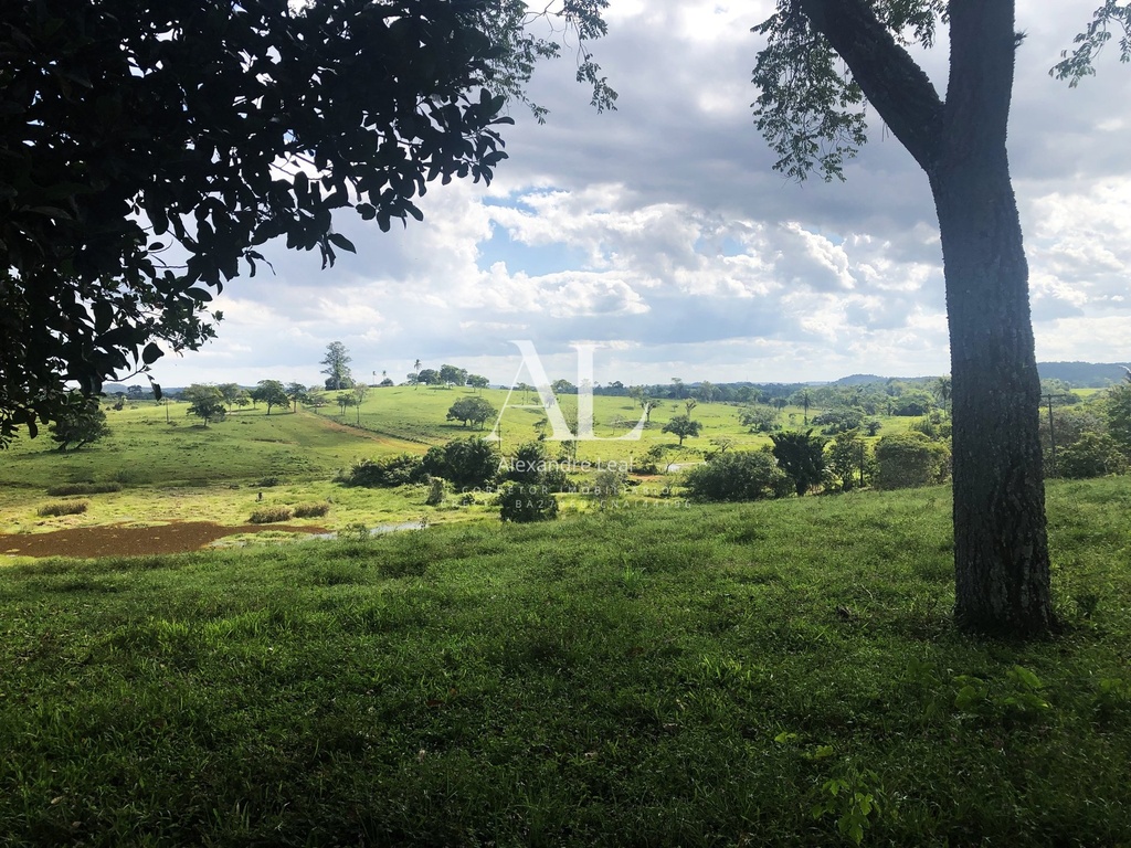 commercial-/-agricultural-196020m2-vila-de-camacari-mata-de-sao-joao-ba