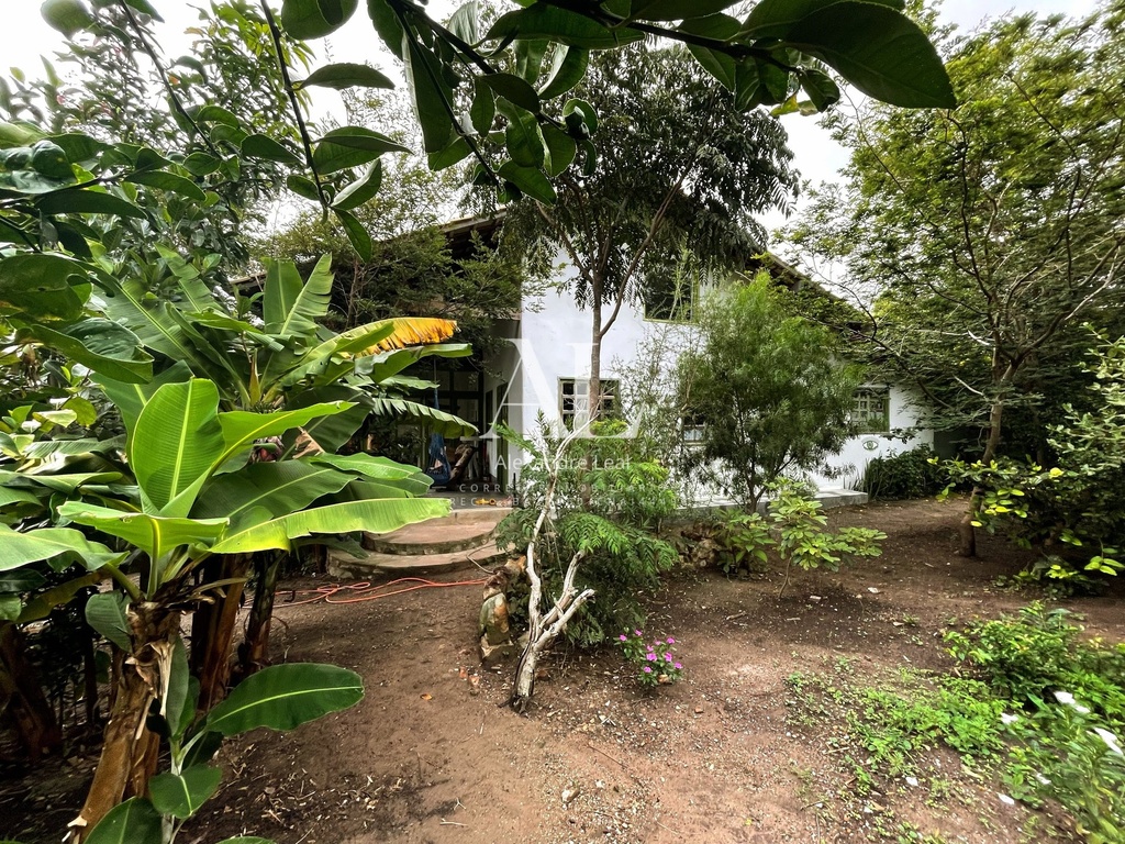 commercial-/-agricultural-5-quartos-477m2-rural-tijuco-palmeiras-ba