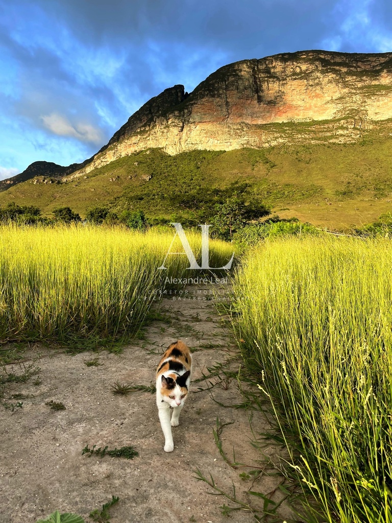 commercial-/-agricultural-5-quartos-477m2-rural-tijuco-palmeiras-ba