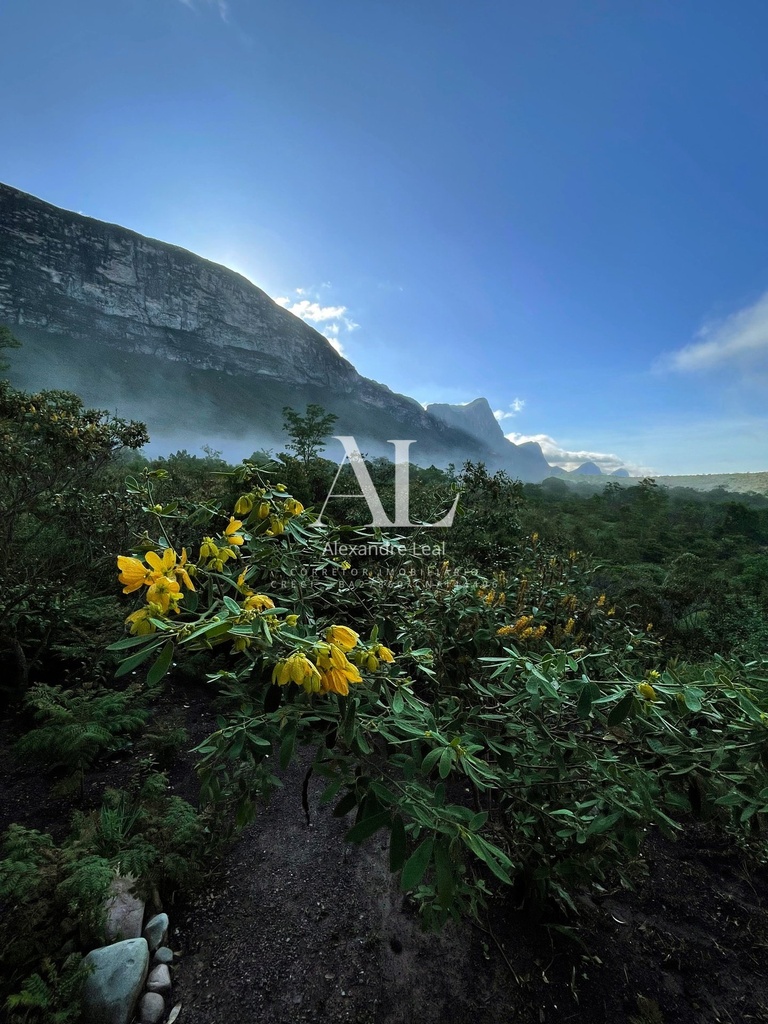 commercial-/-agricultural-5-quartos-477m2-rural-tijuco-palmeiras-ba